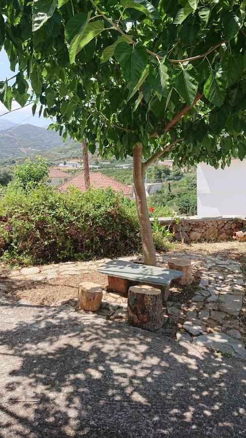 Afrodite'S House-Restaurated Oil Factory Agia  Exterior foto